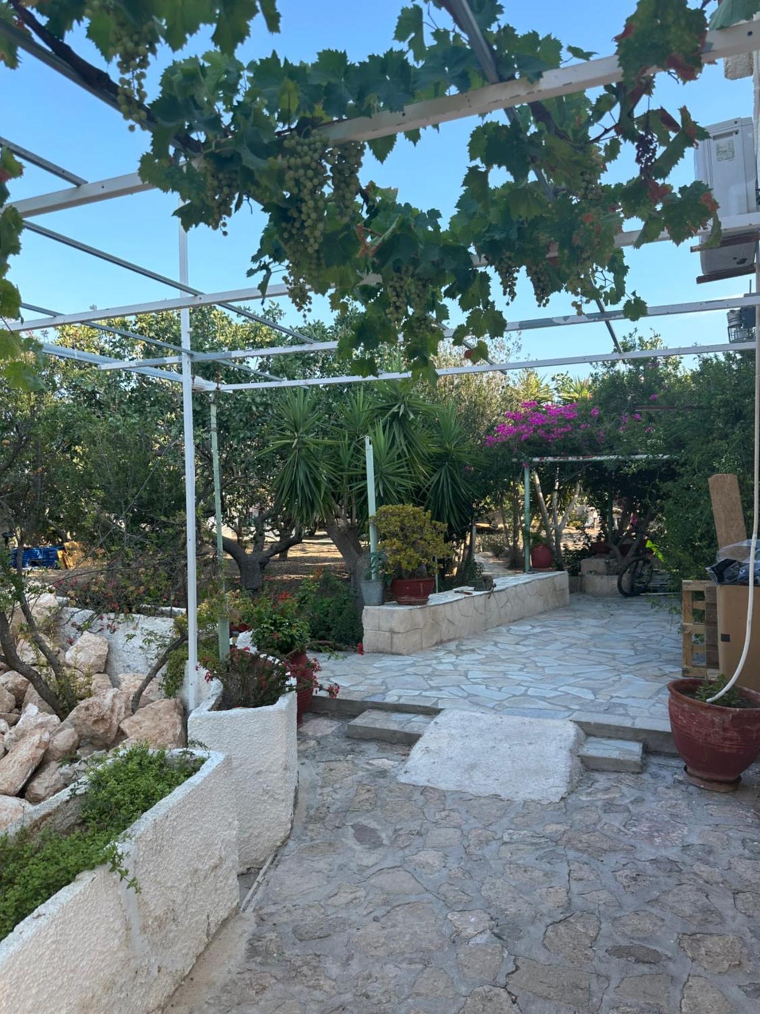 KhloiSolmar Aegina With Private Pool - Jacuzzi公寓 外观 照片